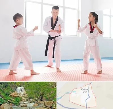 مربی رزمی در کردان