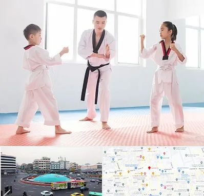 مربی رزمی در میدان انقلاب