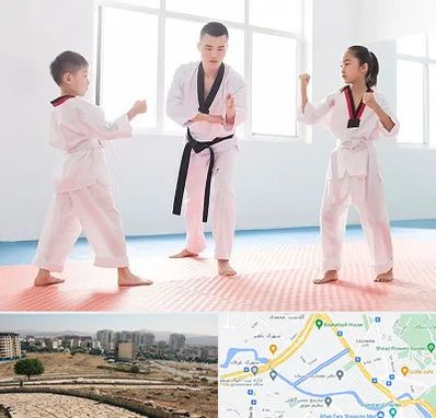 مربی رزمی در کوی وحدت شیراز