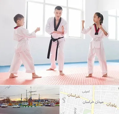 مربی رزمی در میدان خراسان