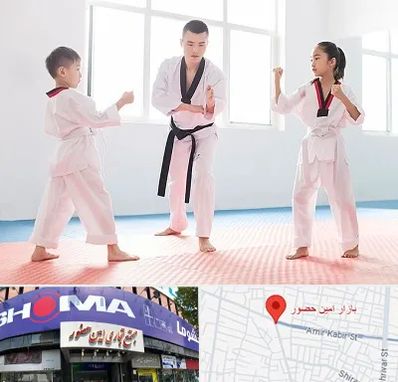 مربی رزمی در امین حضور