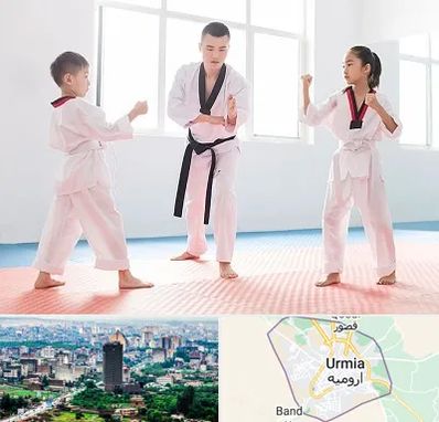مربی رزمی در ارومیه