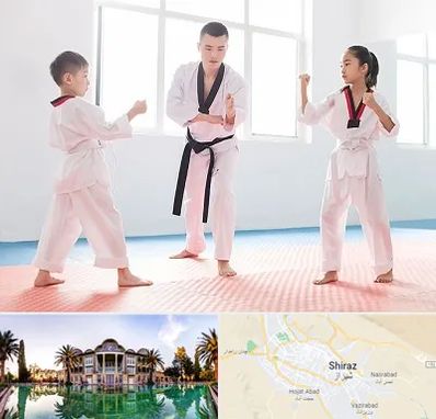 مربی رزمی در شیراز