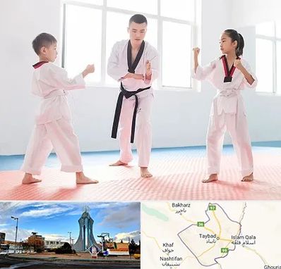 مربی رزمی در تایباد