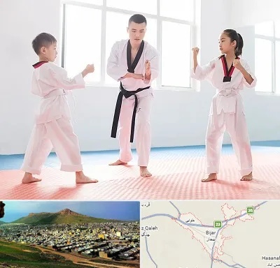 مربی رزمی در بیجار