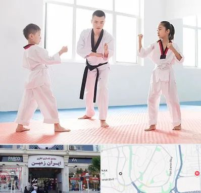 مربی رزمی در ایران زمین