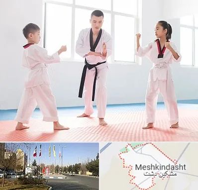 مربی رزمی در مشکین دشت