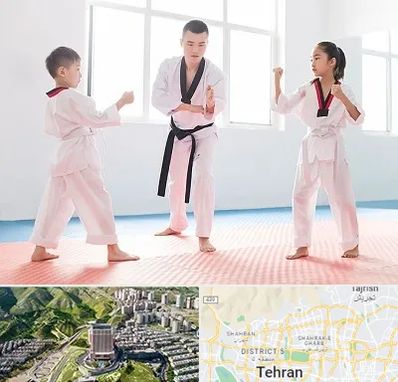 مربی رزمی در شمال تهران