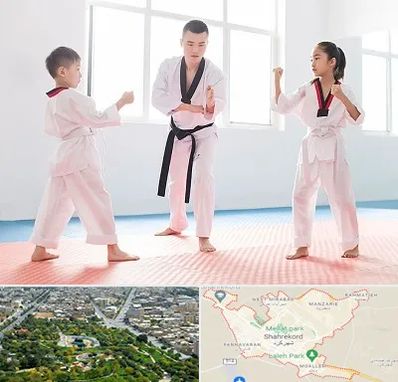 مربی رزمی در شهرکرد