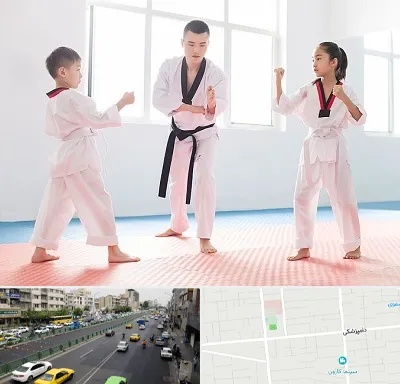 مربی رزمی در خیابان دامپزشکی