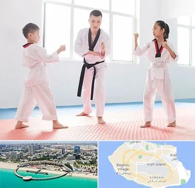 مربی رزمی در کیش