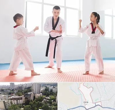 مربی رزمی در اوین