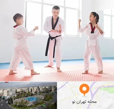مربی رزمی در تهران نو