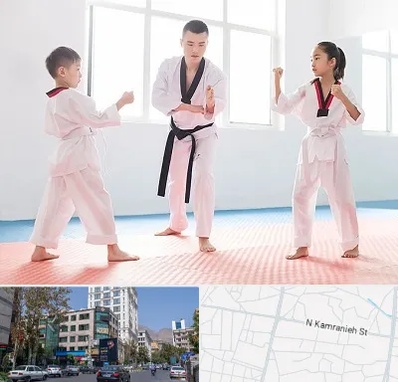 مربی رزمی در کامرانیه