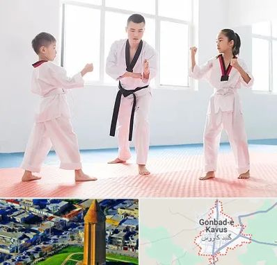 مربی رزمی در گنبد کاووس