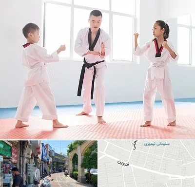 مربی رزمی در خیابان قزوین