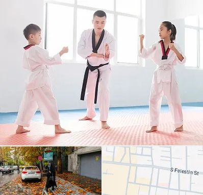 مربی رزمی در خیابان فلسطین