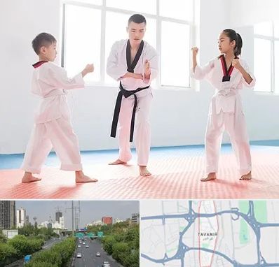 مربی رزمی در توانیر