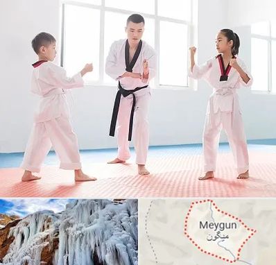 مربی رزمی در میگون