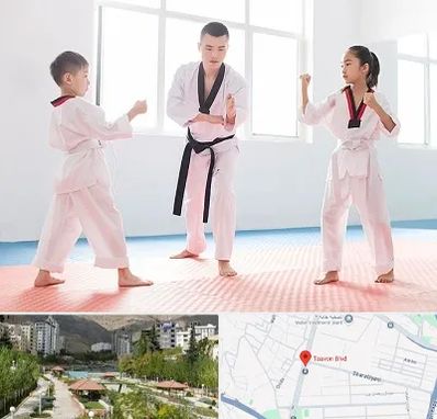 مربی رزمی در بلوار تعاون