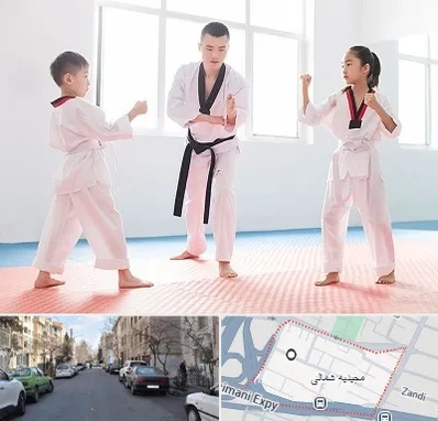 مربی رزمی در مجیدیه شمالی