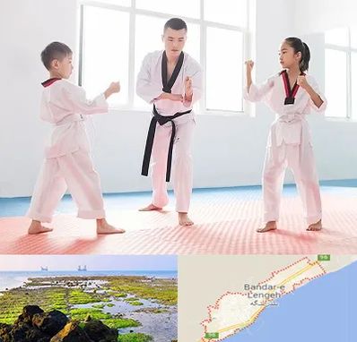 مربی رزمی در بندرلنگه