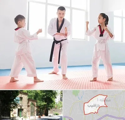 مربی رزمی در دزاشیب