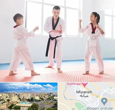 مربی رزمی در میانه