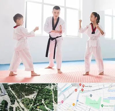 مربی رزمی در سالاریه قم