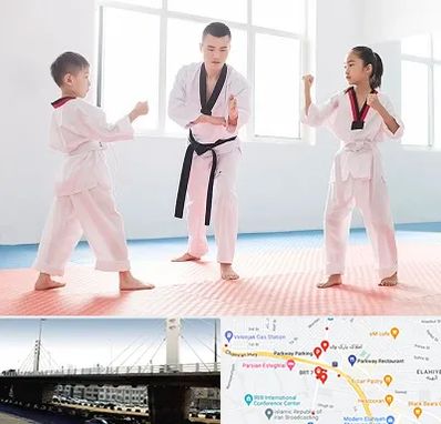 مربی رزمی در پارک وی