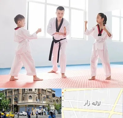 مربی رزمی در لاله زار