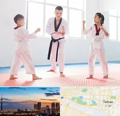 مربی رزمی در غرب تهران 