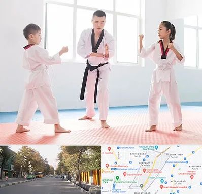 مربی رزمی در شریعتی