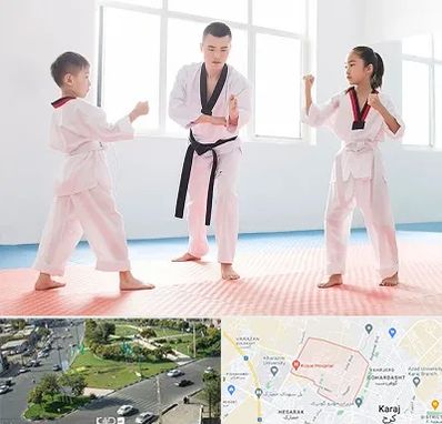 مربی رزمی در شاهین ویلا کرج