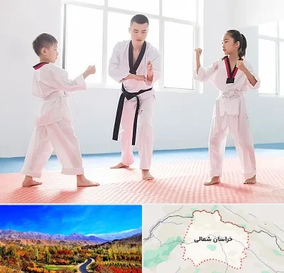 مربی رزمی در خراسان شمالی