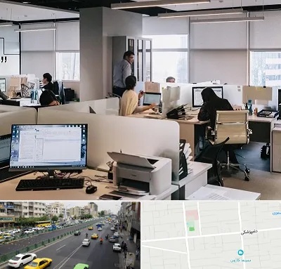 خدمات عمومی در خیابان دامپزشکی
