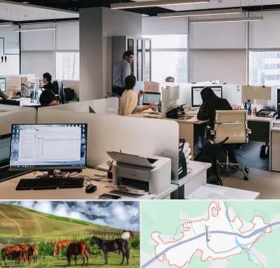 خدمات عمومی در تالش