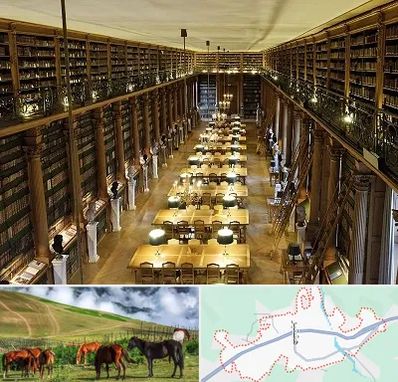 کتابخانه در تالش