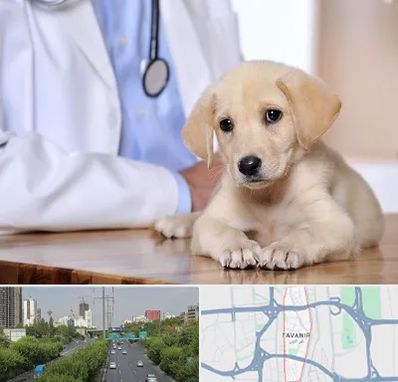 بیمارستان دامپزشکی در توانیر