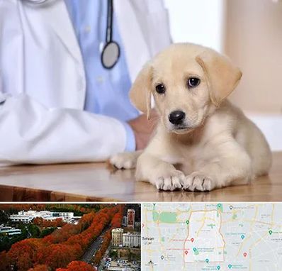 بیمارستان دامپزشکی در منطقه 6 تهران