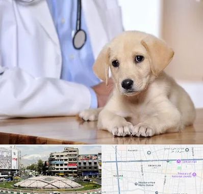 بیمارستان دامپزشکی در مرکز تهران