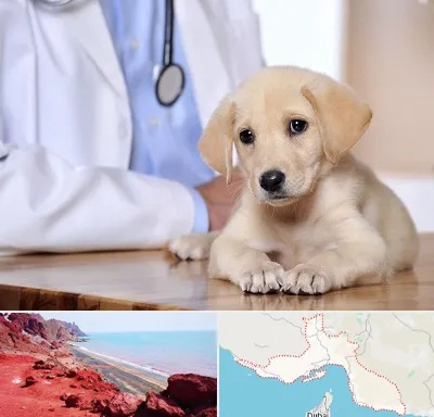بیمارستان دامپزشکی در هرمزگان
