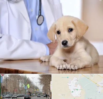 بیمارستان دامپزشکی در نظرآباد کرج