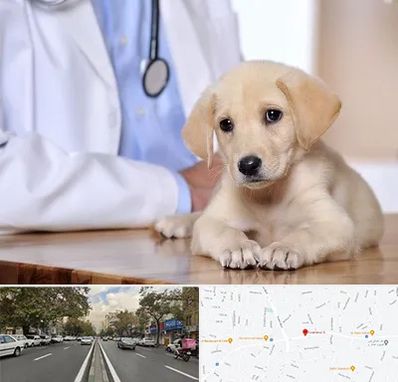 بیمارستان دامپزشکی در دولت