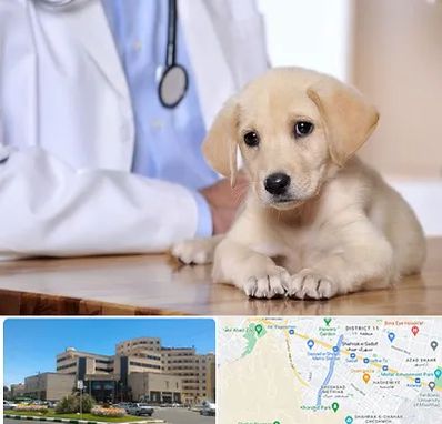 بیمارستان دامپزشکی در صیاد شیرازی مشهد