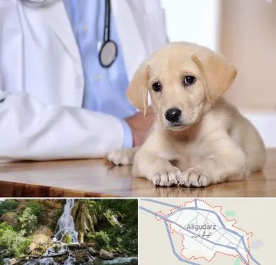 بیمارستان دامپزشکی در الیگودرز