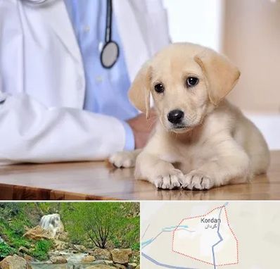 بیمارستان دامپزشکی در کردان