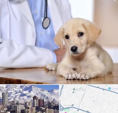 بیمارستان دامپزشکی در ازگل