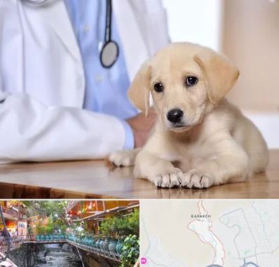 بیمارستان دامپزشکی در درکه