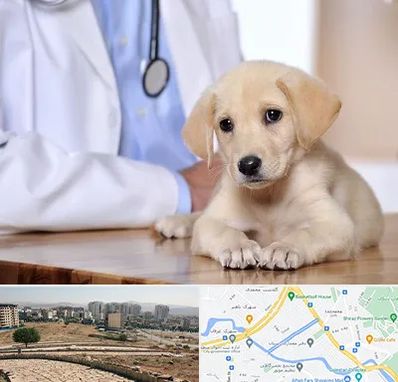 بیمارستان دامپزشکی در کوی وحدت شیراز